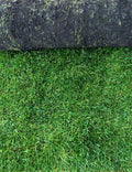Luxury hardwearing turf