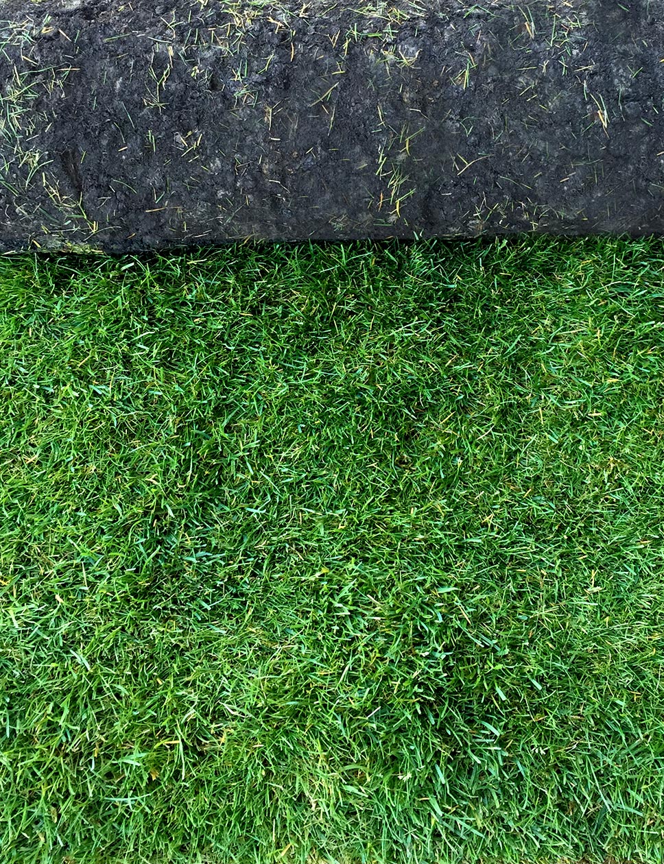 Luxury hardwearing turf